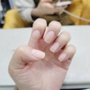 바미살롱 이미지