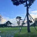 라운딩 | 솔라고 컨트리클럽,솔라고CC 야간라운딩,노캐디라운딩 후기