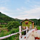 윤주목장 이미지