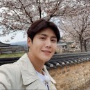 장생산삼 티스토리