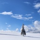 우하농장 | 여름 여행 비에이/후라노 버스투어 추천｜삿포로 출발 당일치기 코스 후기 (가을, 겨울 코스 정리)