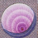 시선끌다 이미지