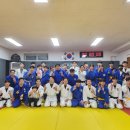 용인대 에스유도클럽 이미지