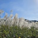 솔마루길 신선산 이미지