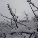 철뚝농장 이미지