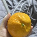 센텀희여성의원 네이버블로그