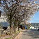 삼숭생활체육공원 이미지