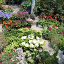 대야재래시장 이미지