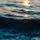 청해수산회천국 이미지