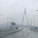 완도13호 아침신문