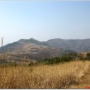 주암산-최정산-통점령-청산-방치재-홍두깨산-대밭골산-나부산-대전마을 이미지