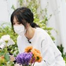 우연히봄 Daum카페