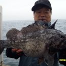 바다낚시 - 창원시 성산구 삼귀로 369 | 바다낚시