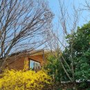 뜨락엔햇살 이미지