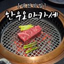 279 | 대전 소고기 오마카세 맛집, 수린 &amp; 카페 Leafful 후기