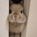 (유)진해택시 | 느좋카를 낋여오거라