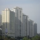 분당-256 이미지