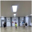 소나무향기 태권도 이미지