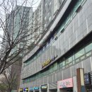 동작(2) | 동작 영어유치원 페이잉글리쉬어학원 상담후기