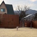 스테이온더힐 이미지