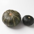 푸름농장 이미지