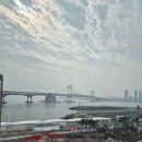 신바다 횟집 | 부산 민락동 맛집 광안다찌 광안리 코스요리 찐추천 횟집