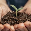 정원의 조성과 관리 이미지