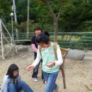 와석초교 이미지