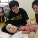 엄조산원 이미지