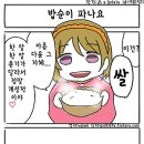 하라쇼