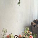 방배천로6길 39-2 이미지