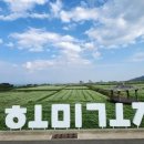 호미곶관광단지 이미지