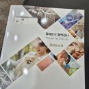 최성진내과의원 | 포항 최성진내과 - 알러지 검사 후기