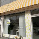 라임이즈 이미지