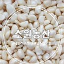 관양농산