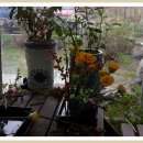 꽃누르미 이미지