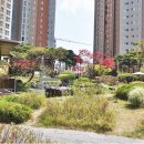 신동-102 이미지