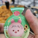 싹쓰리솥뚜껑김치삼겹살다산
