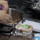 진진오리 이미지