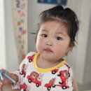 ［고산］옷잘입는강아지 펫패션 | 유아잠옷 유아실내복 추천 치즈데이 밤부골지 젤리7부 봄신상 후기