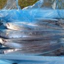 제주은갈치 이미지