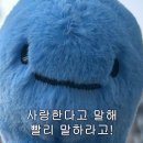 인생스낵