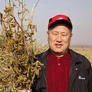 대순농장 이미지