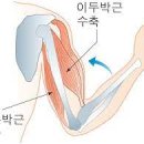 비티비에스 이미지