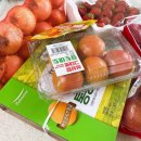 식자재몰 식자재쇼핑몰 식자재당일배송 다담몰 당일배송 후기