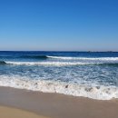 파도소리 이미지