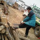 물보라 해양레포츠 Daum카페