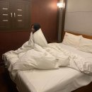 J 호텔 | 수원으로 친구랑놀러갔다면?? 수원역 J호텔 솔직한 후기