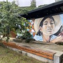 양심농장 이미지