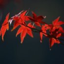 회남재길 이미지